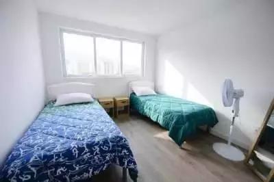 里约大冒险奥运会,里约奥运会里约大冒险