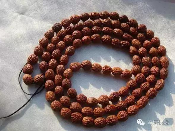 尼泊尔凤眼大的好还是小的好,尼泊尔凤眼菩提好还是金刚好