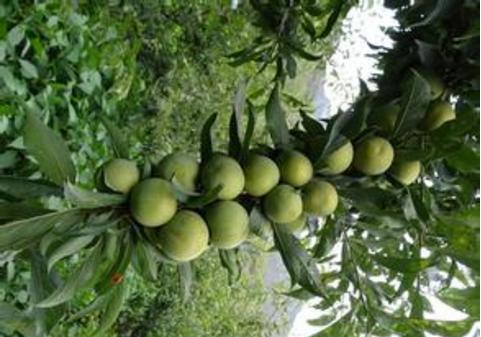 客户老是质疑你该怎么做,客户已经很不耐烦了你如何处理