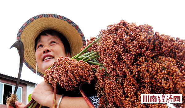 泸州人家红高粱,泸州红高粱38度价格