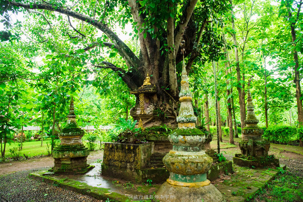 西双版纳住哪个傣族园舒服,西双版纳傣族园玩什么