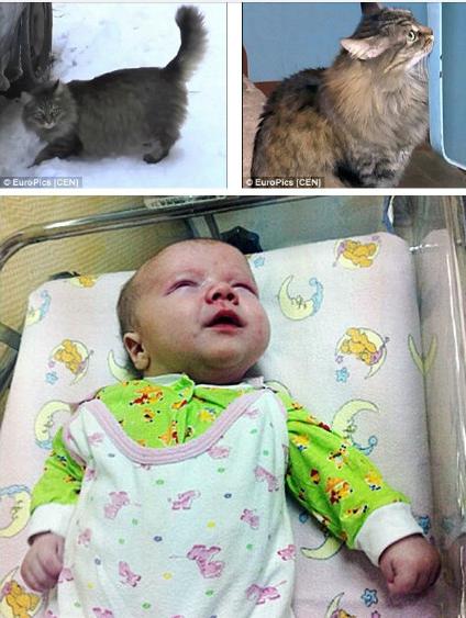 尾气猫,尾气猫视频