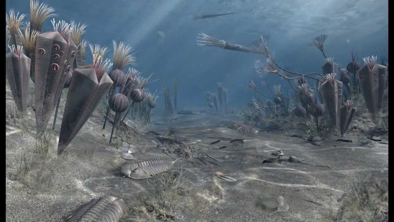 来自太空的毁灭:伽马射线暴详解