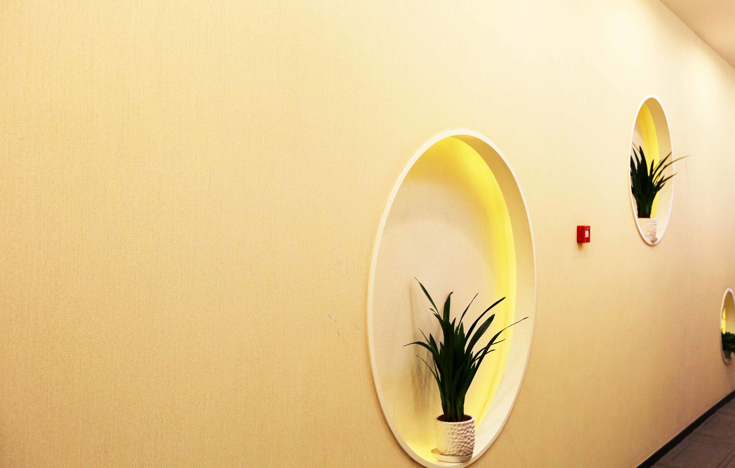 306医院健康查体怎么预约,306医院官方网站