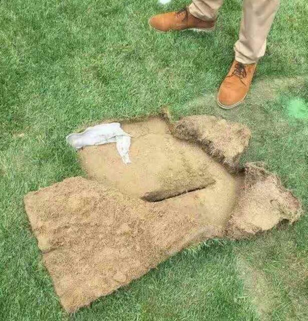 娱乐至死现状视频,娱乐至死的年代新闻