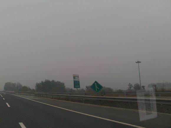 “射鸡”历险记打鸡血然后。