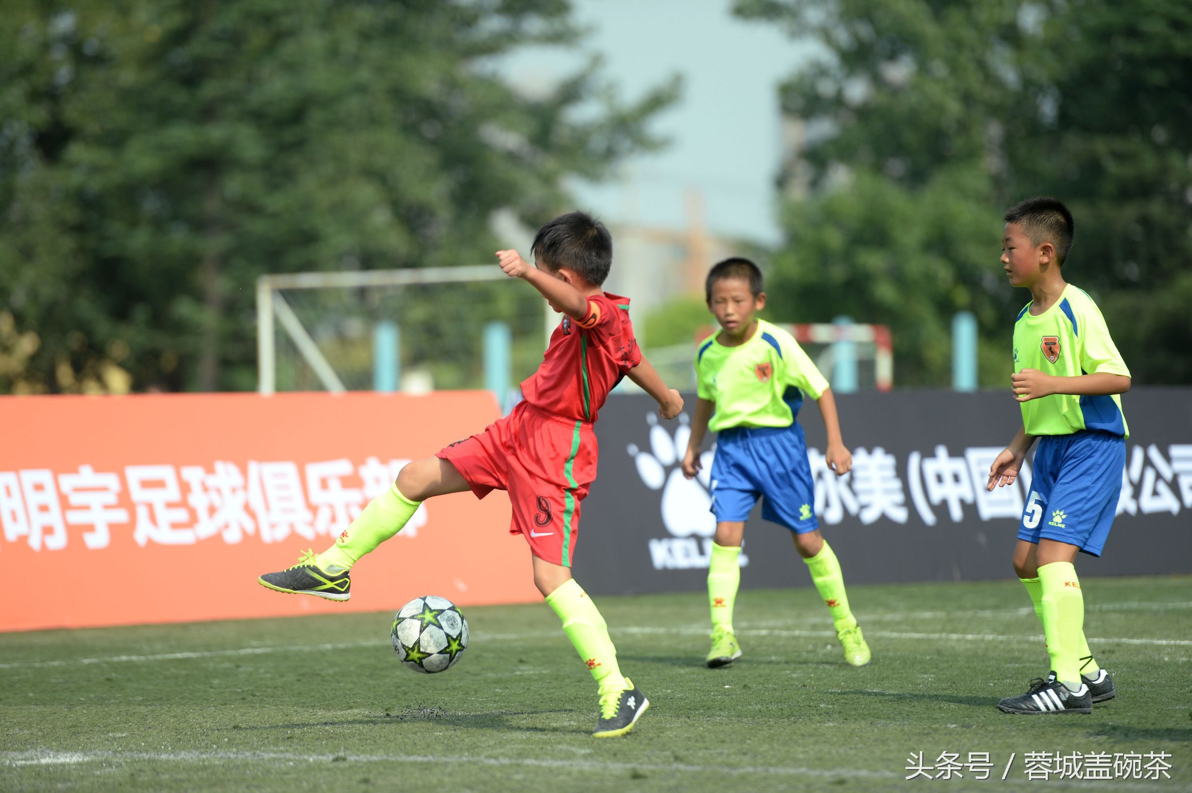 成都温江少儿足球比赛,温江区青少年足球比赛