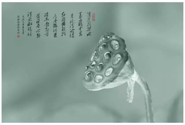 李白与杜甫的巅峰对决诗词,李白千年之狐vs世冠