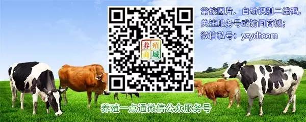 鱼鳖混养省地又省力,外塘龟鳖混养的正确方法