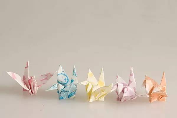 8000买的貂皮大衣被调包,被扒掉皮的貂回头看