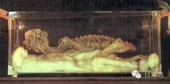 是真是假?日本传说中的河童天狗人鱼的木乃伊