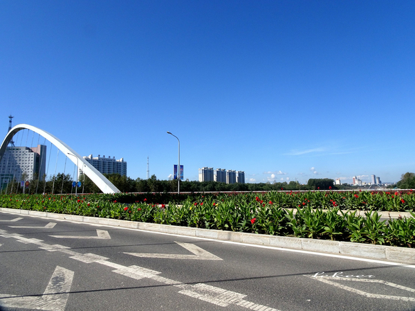额滴个神!一枚老男人居然在黑河疯狂购物直到手软!