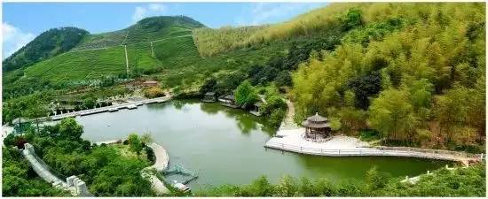 宁波最不好的区是哪个,宁波最落后的三个区