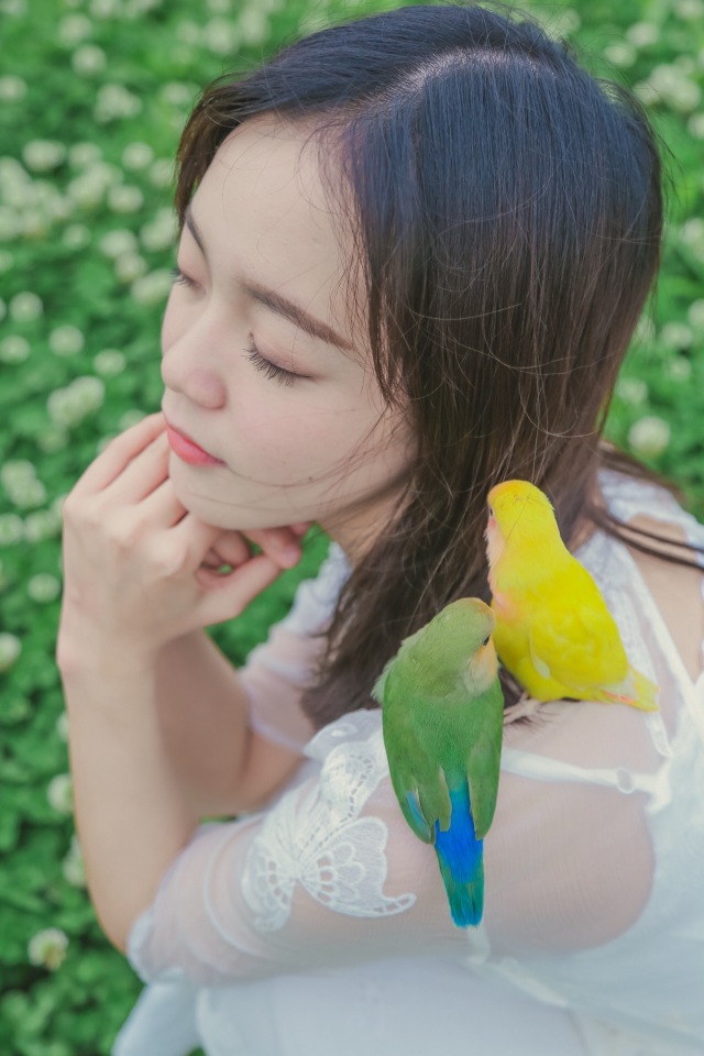 虎皮鹦鹉多少天可以拿出来手养,手养虎皮鹦鹉雏鸟训练教程视频