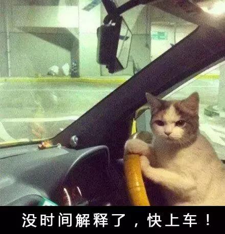 你想要的鞋子都在哪里,你想要的鞋子有哪些