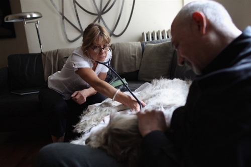 宠物狗安乐死主人哭成泪人,宠物狗安乐死前一分钟