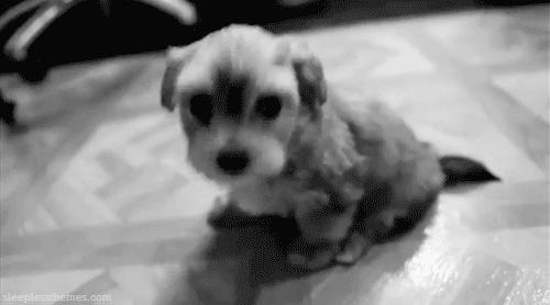 陪伴是最长情的告白你同意吗,陪伴是最长情的告白请勿连赞