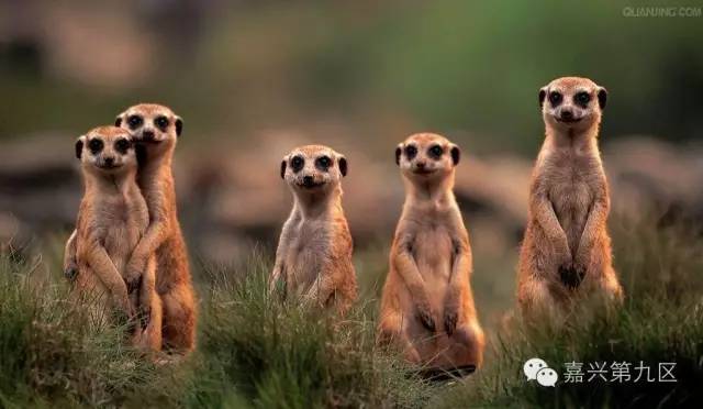 宁波出发高铁4-5小时能到哪里,宁波出发坐高铁三日游推荐