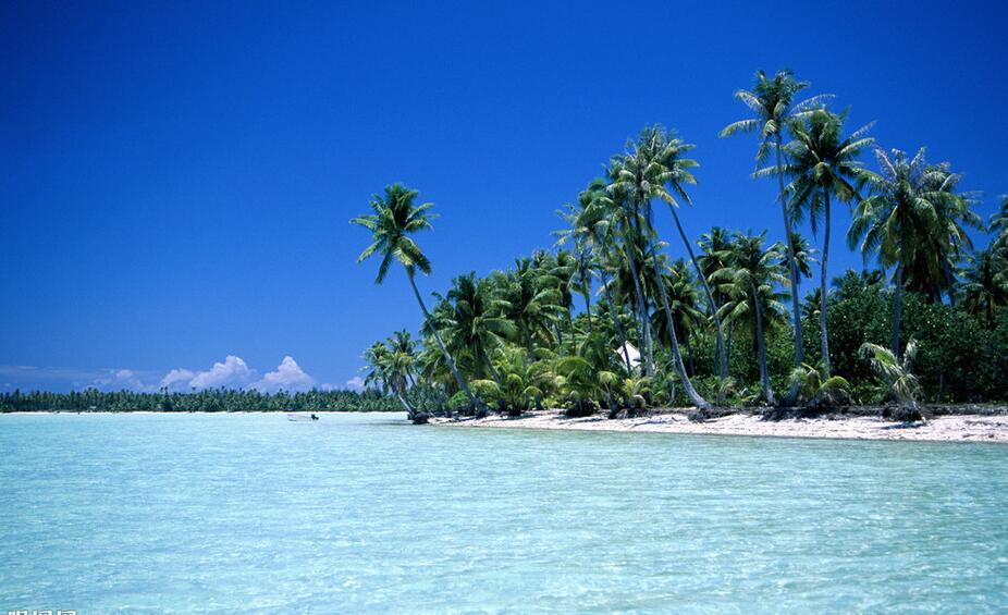 三伏天高温从哪天开始,高温三伏天该注意什么