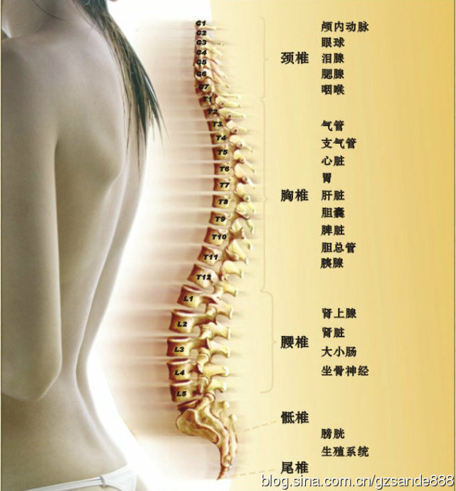 非遗药物竹罐的传承,非遗文化传承竹罐