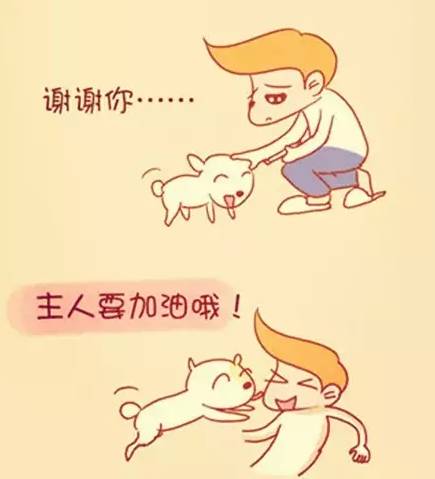 陪伴是最长情的告白你同意吗,陪伴是最长情的告白请勿连赞