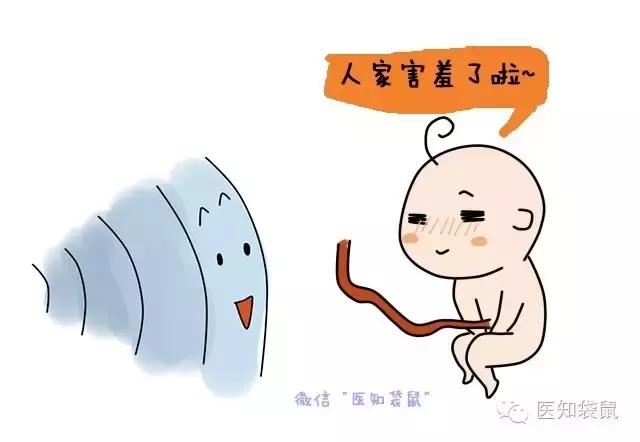 普通b超和肾b超检查范围一样吗,B超三维彩超区别