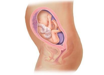 惊奇宝宝第一季,怀孕过程中的十大惊奇发现