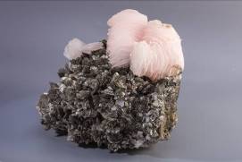 中国地质博物馆百年，这30件藏品亮瞎你的双眼