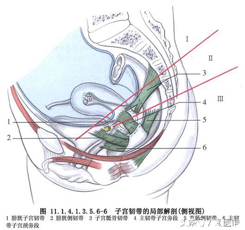 卵巢囊肿手术后的真实经历,卵巢囊肿小5cm多自愈最佳方法