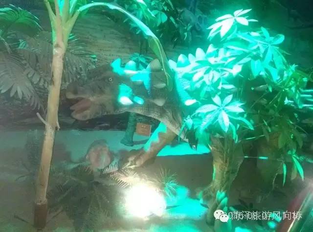 金象山青少年夏令营,济南金象山乐园夏令营