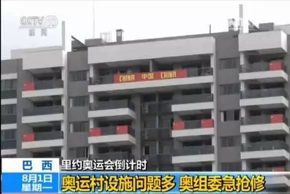 里约大冒险名场面,里约大冒险真实版