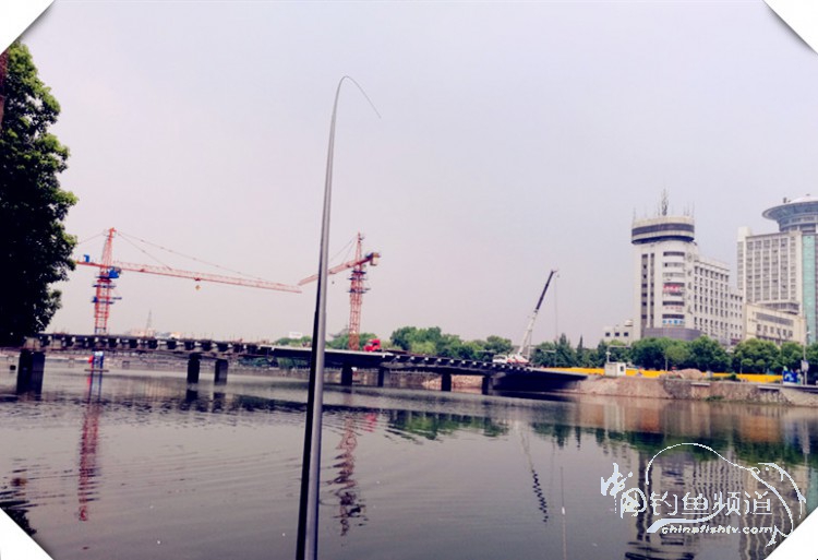 早起的鸟儿有虫吃动画,早起的鸟儿有虫吃故事