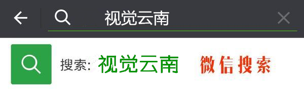 云南特色小吃玉米面饼,云南街边小吃洋芋饼怎么搞