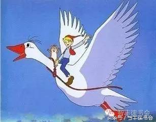 尼尔斯骑鹅历险记视频,尼尔斯骑鹅旅行记之拯救松鼠