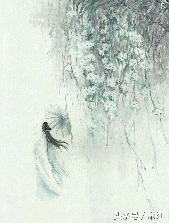 山有木兮木有枝感恩所有的相遇,有人对你说山有木兮木有枝