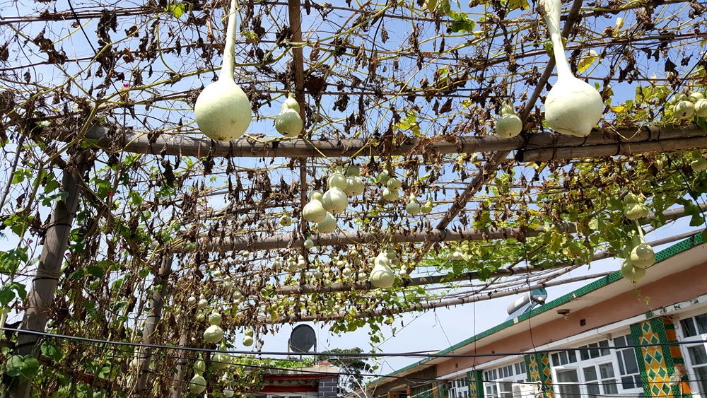 乐亭碧海渔家,乐亭碧海渔家怎么样