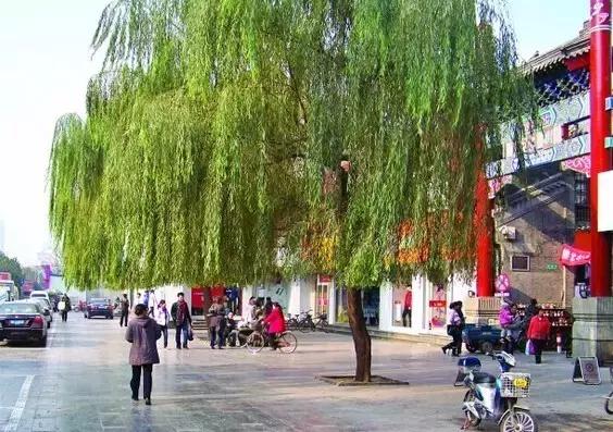 济南11月份有什么好玩的地方,济南春节好玩的地方推荐