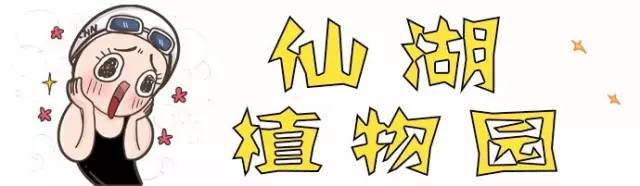 释放体内的“洪荒之力”，罗湖这几个地儿很“燃”！
