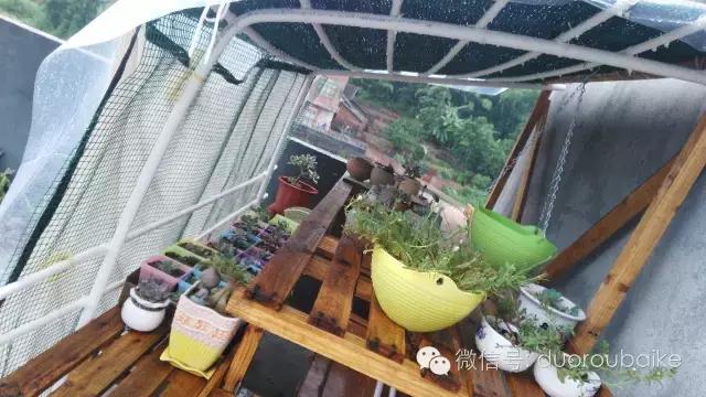 多肉挡雨遮阳布,伸缩挡雨架多肉