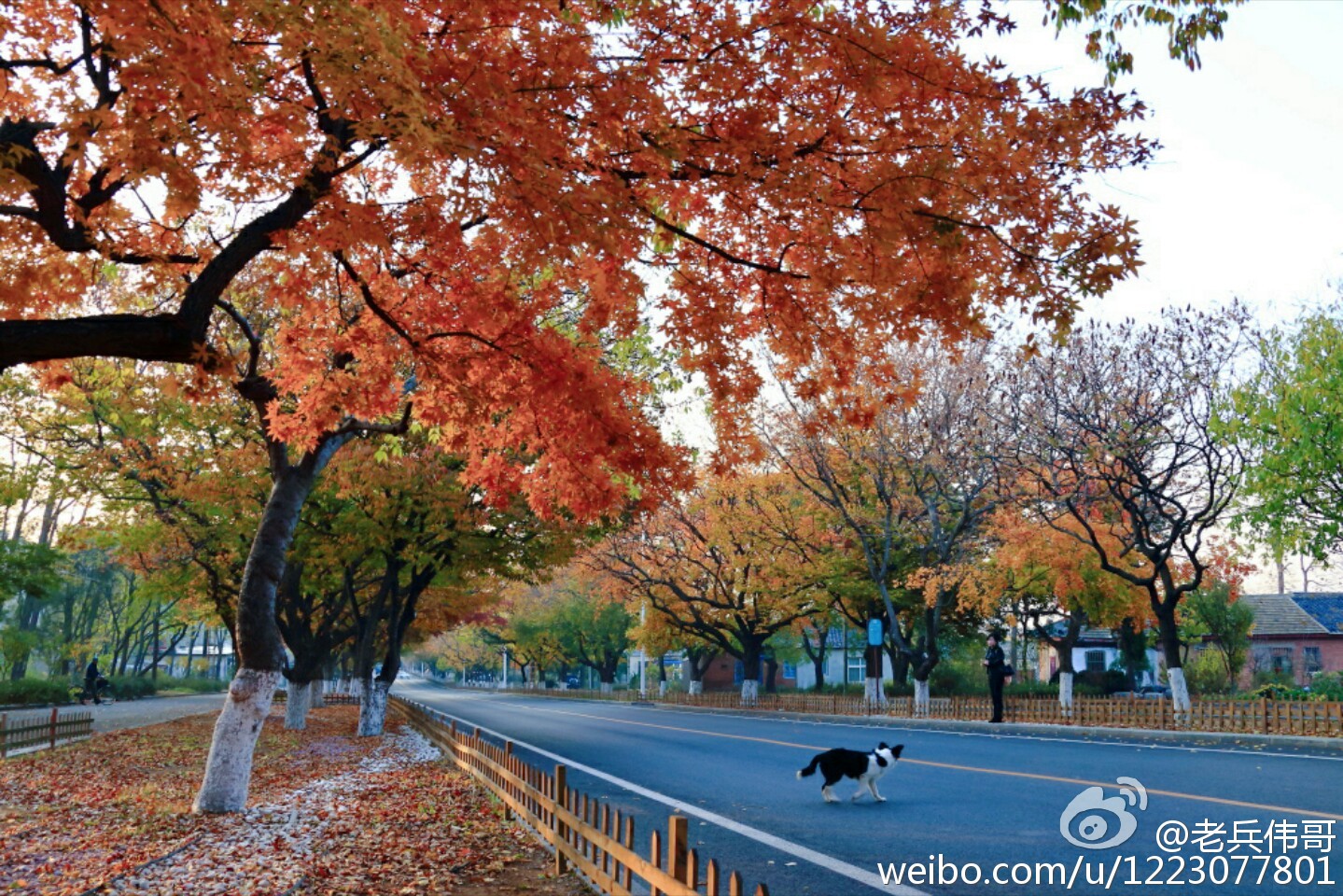 住下来，才知道旅顺口有多好