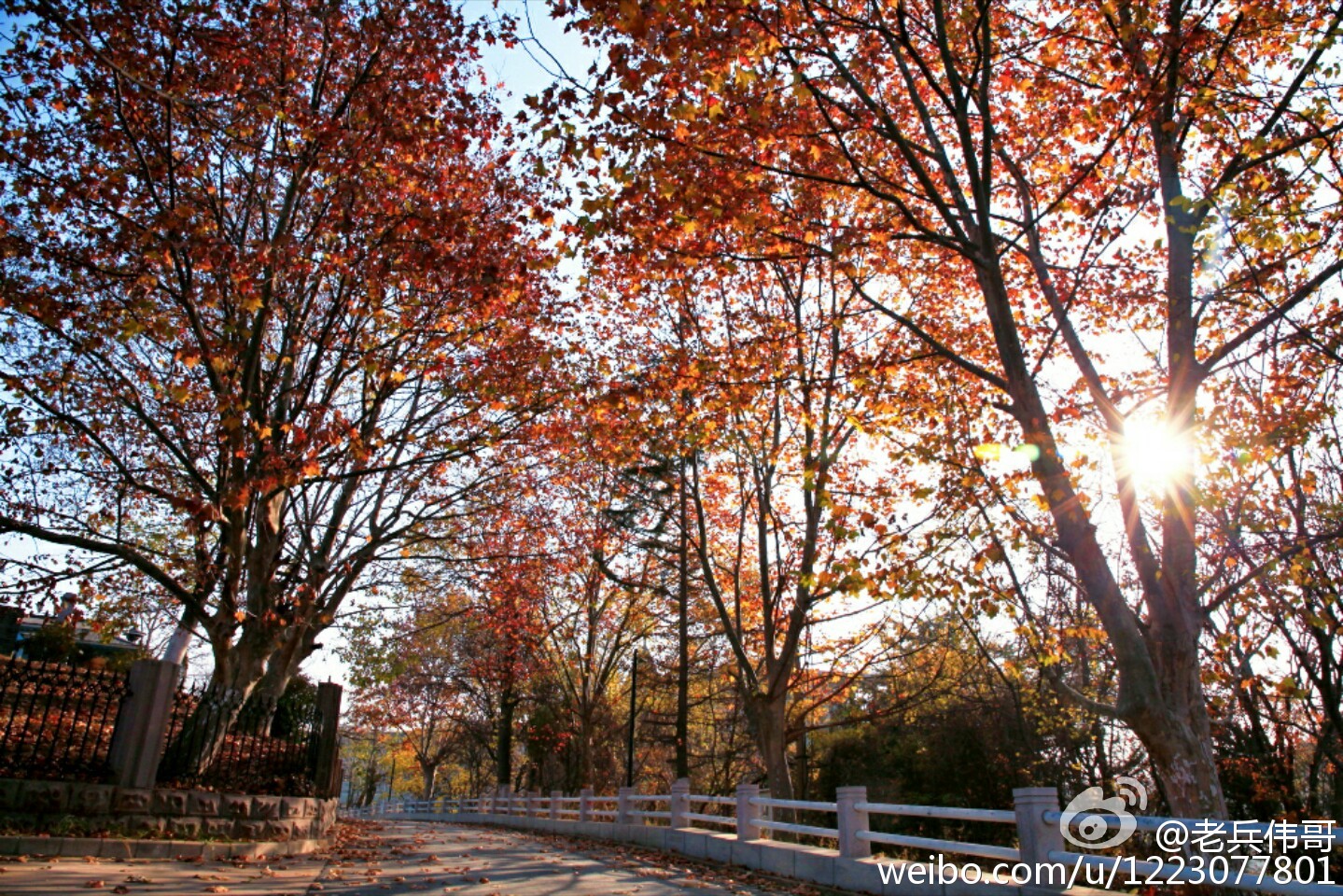 住下来，才知道旅顺口有多好