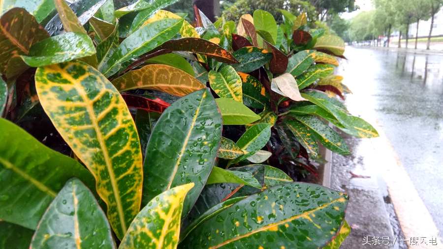 閰锋瘮max5鍙傛暟,閰锋瘮max5鎬ц兘