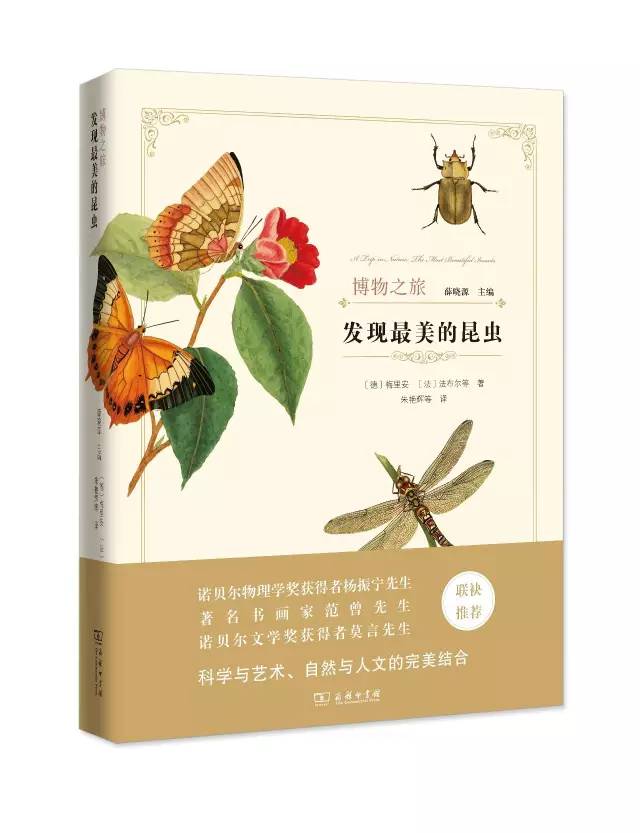 100本必读书单整理图片,100本绘本书单