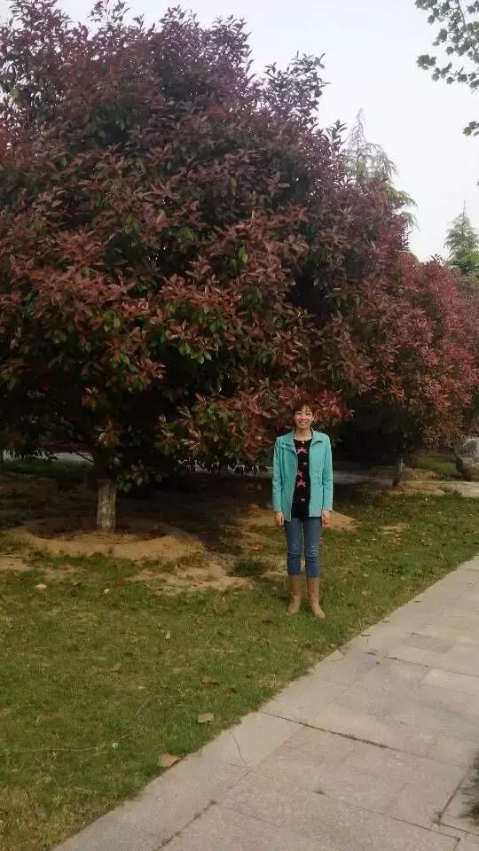 商丘工学院官网,商丘学院管理工程学院