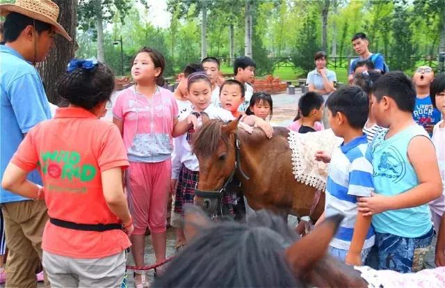 晚上注定是个不平凡的夜晚铃声,这个夜注定要不平凡