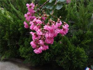 360n4s手机详细测评,360n4s骁龙版评测