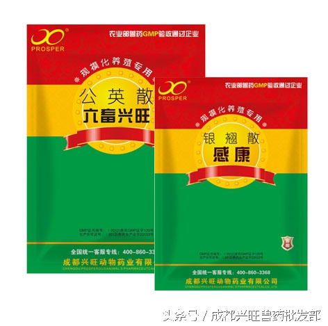 子宫内膜炎治疗方案,猪子宫内膜炎用什么药物