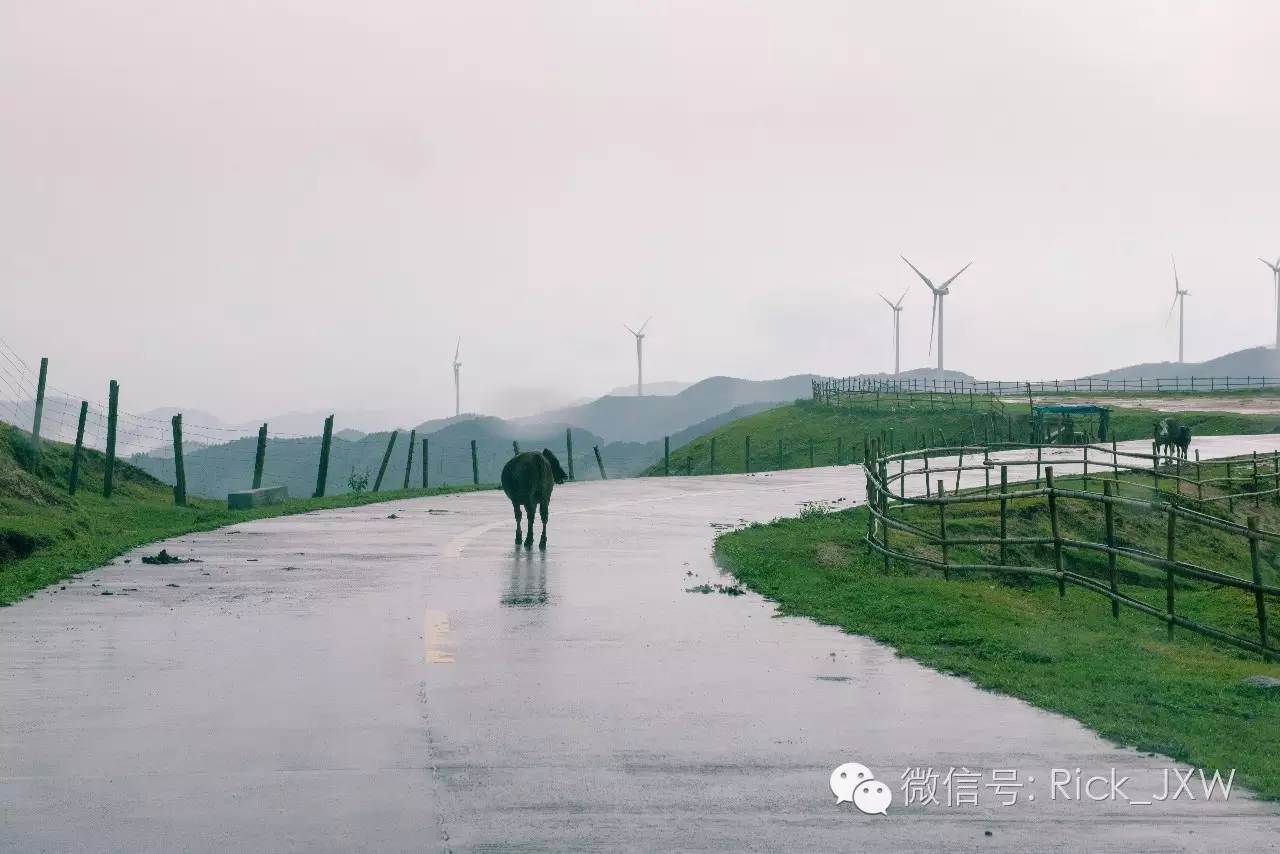 离广州最近的有草地湖泊的地方,离广州最近的山顶草原