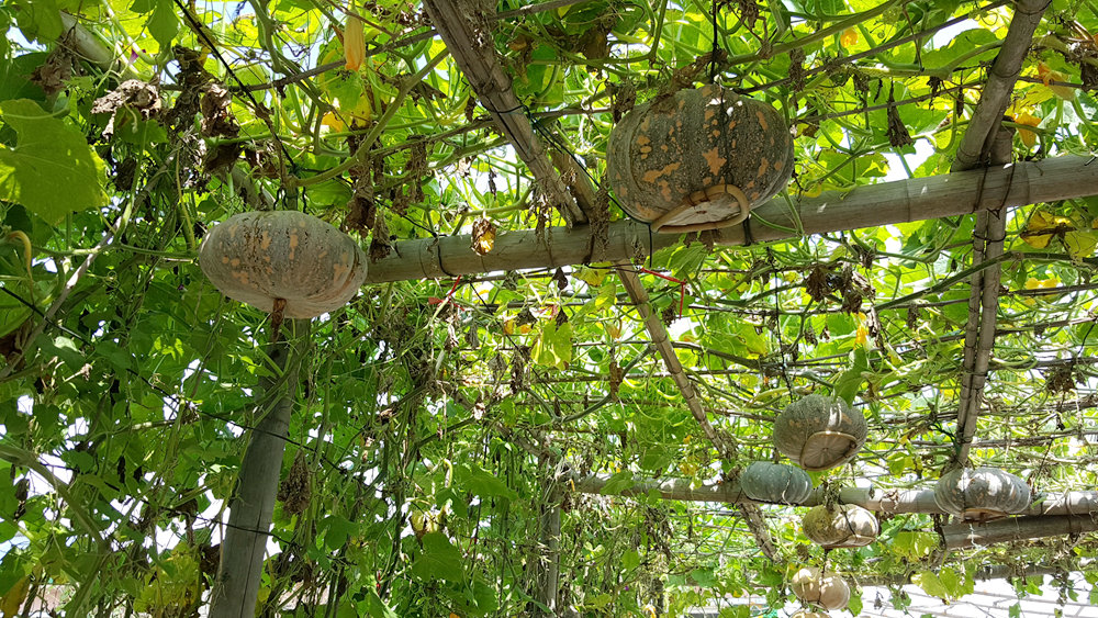 乐亭碧海渔家,乐亭碧海渔家怎么样