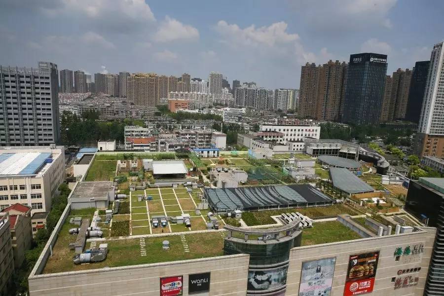 寤轰簡涓冻鐞冨満,寤轰竴涓ぇ鍨嬪鍐呯鐞冨満